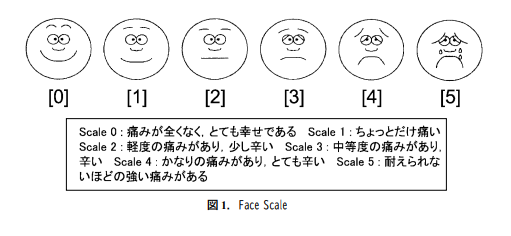 痛みの評価スケールとは？VAS・NRS・フェイススケールの違いを解説